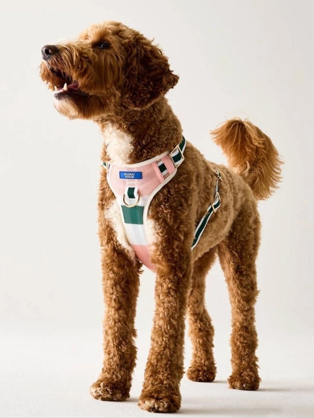 Dog Harness, Hooray House, Moto Vegan Leather - Pink L, NWT